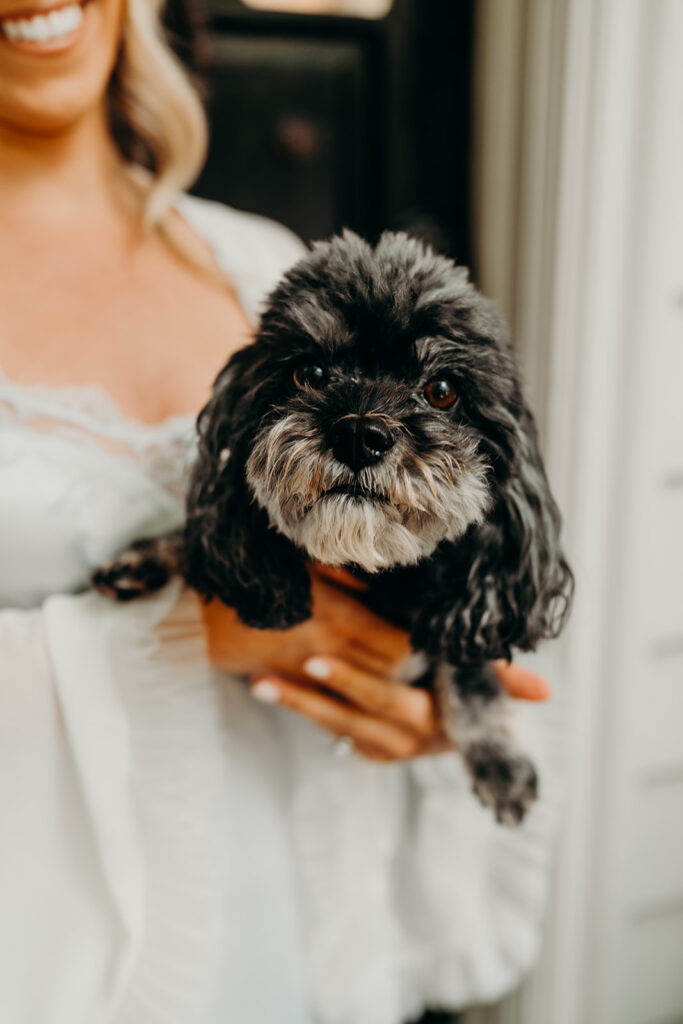 Getting ready photos featuring the brides little dog