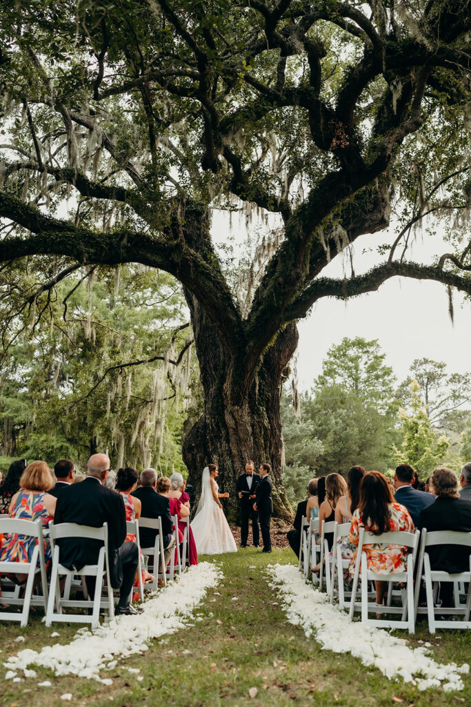 ceremony at magnolia plantation