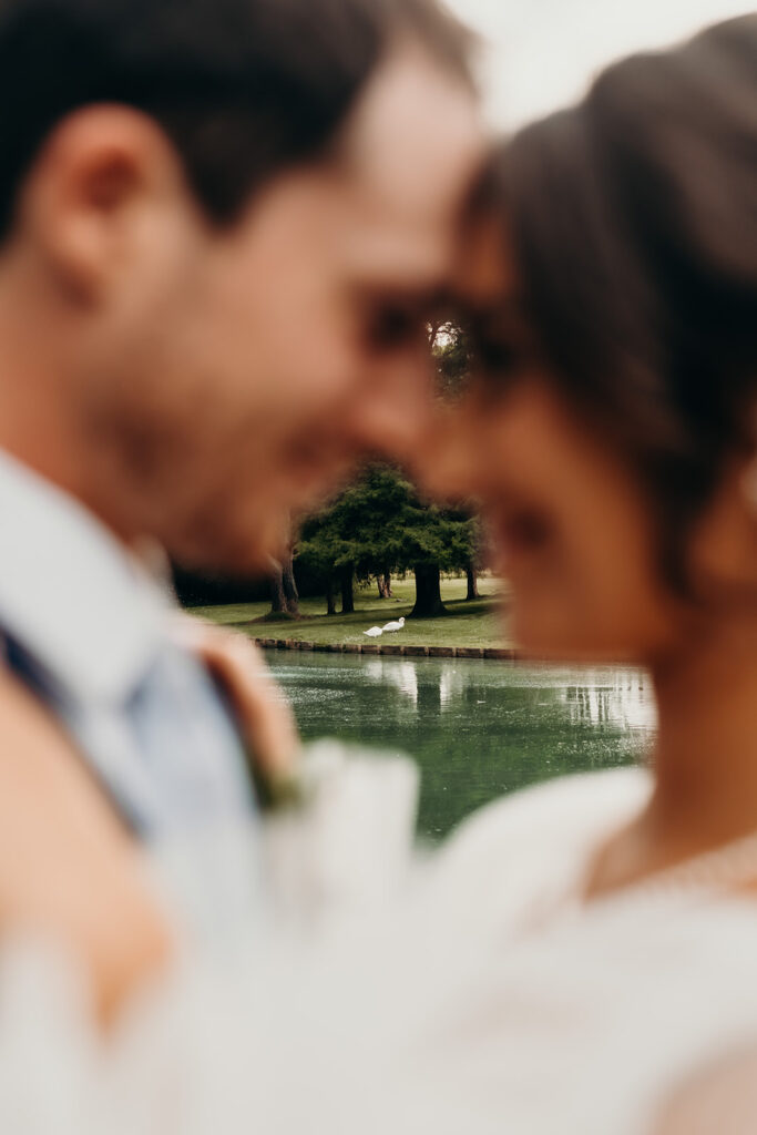 swans in the pond as the couple does their portraits at their rose hill estate wedding
